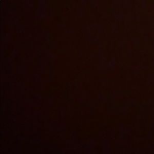 Meet your Posher, Terri